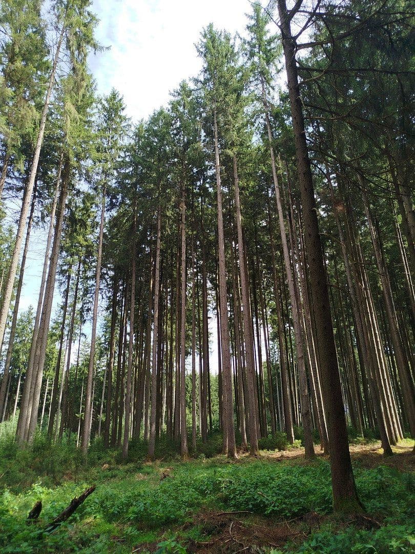 Prodej pozemku 16.740 m², Mering, Bavorsko Prodej pozemku 16.740 m², Mering, Bavorsko
