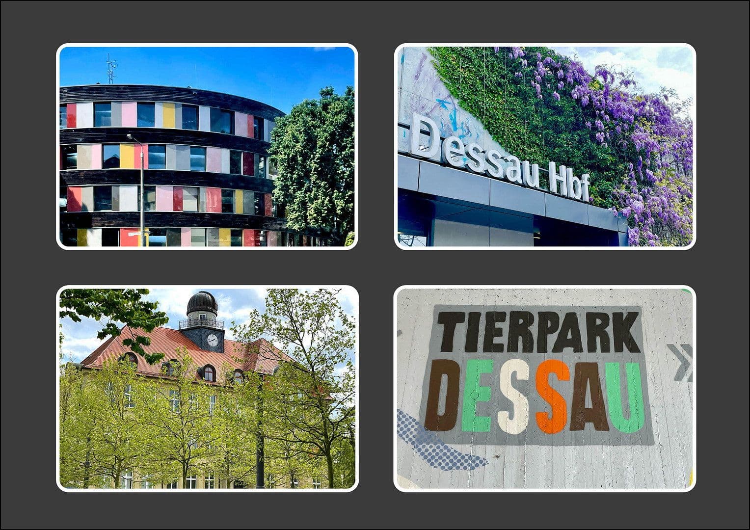 Prodej domu 152 m², pozemek 617 m², Dessau-Ziebigk, Sasko-Anhaltsko Prodej domu 152 m², pozemek 617 m², Dessau-Ziebigk, Sasko-Anhaltsko