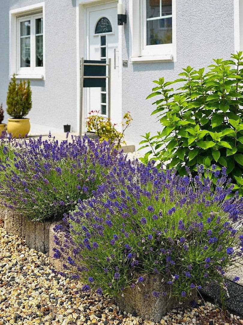 Prodej domu 207 m², pozemek 328 m², Bad Vilbel, Hessen Prodej domu 207 m², pozemek 328 m², Bad Vilbel, Hessen