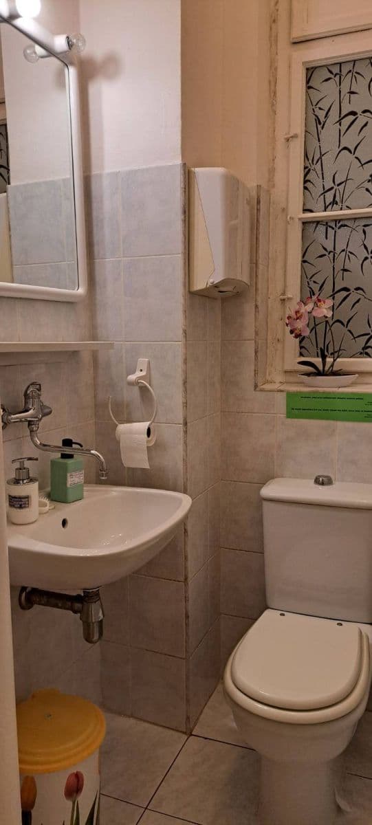 Pronájem nebytového prostoru 17 m², Krkonošská, Praha, Praha Pronájem nebytového prostoru 17 m², Krkonošská, Praha, Praha