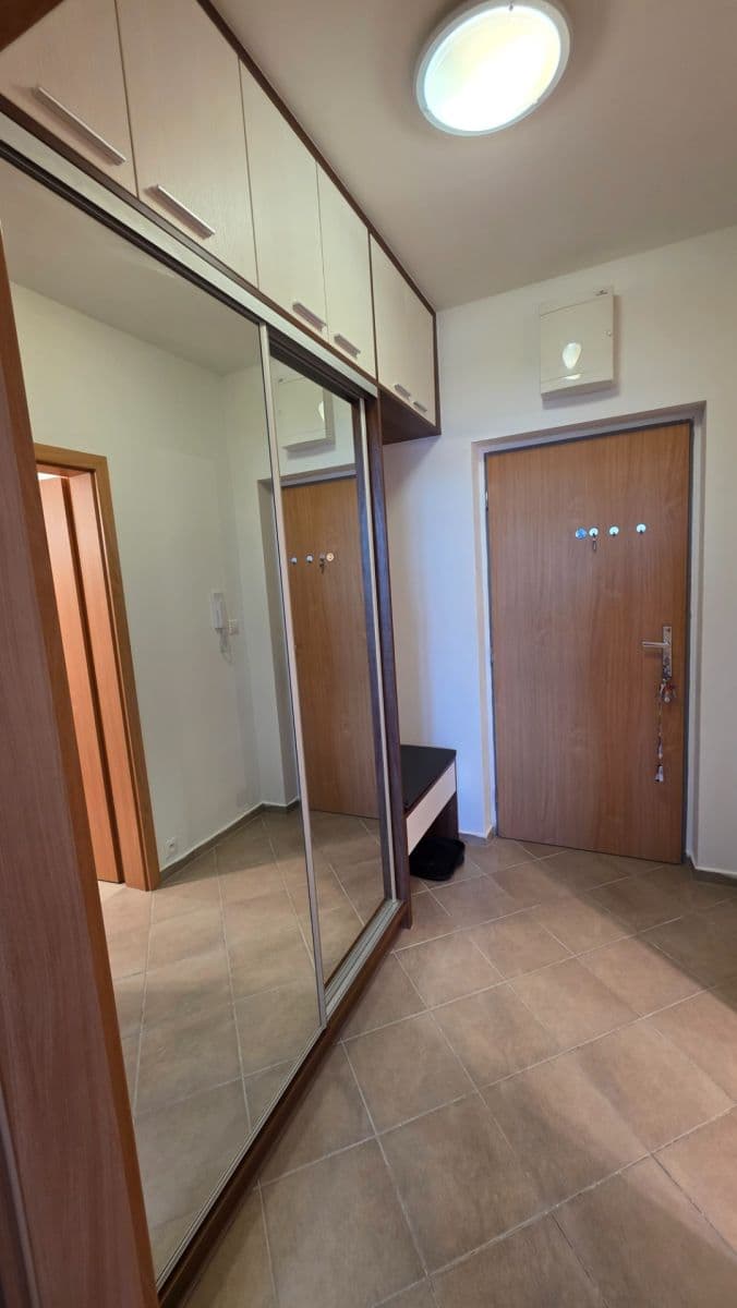 Pronájem bytu 1+kk 34 m², Říčanská, Brno, Jihomoravský kraj Pronájem bytu 1+kk 34 m², Říčanská, Brno, Jihomoravský kraj