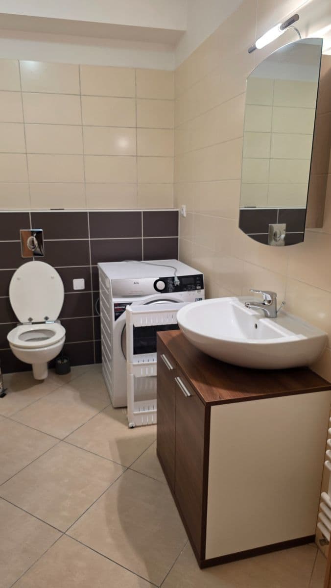 Pronájem bytu 1+kk 34 m², Říčanská, Brno, Jihomoravský kraj Pronájem bytu 1+kk 34 m², Říčanská, Brno, Jihomoravský kraj