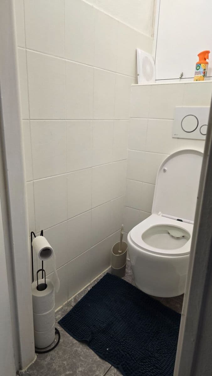 Pronájem bytu 3+1 65 m², Zelený pruh, Praha, Praha Pronájem bytu 3+1 65 m², Zelený pruh, Praha, Praha