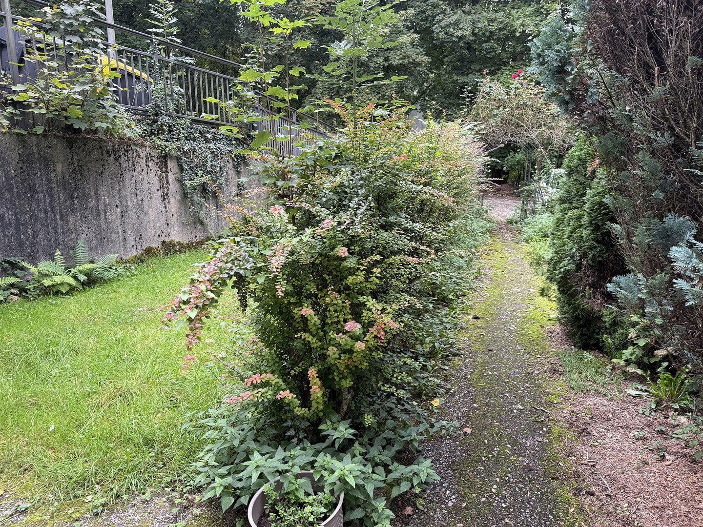 Pronájem bytu 2+1 43 m², Ittertalstraße 138, Solingen, Severní Porýní-Vestfálsko Pronájem bytu 2+1 43 m², Ittertalstraße 138, Solingen, Severní Porýní-Vestfálsko