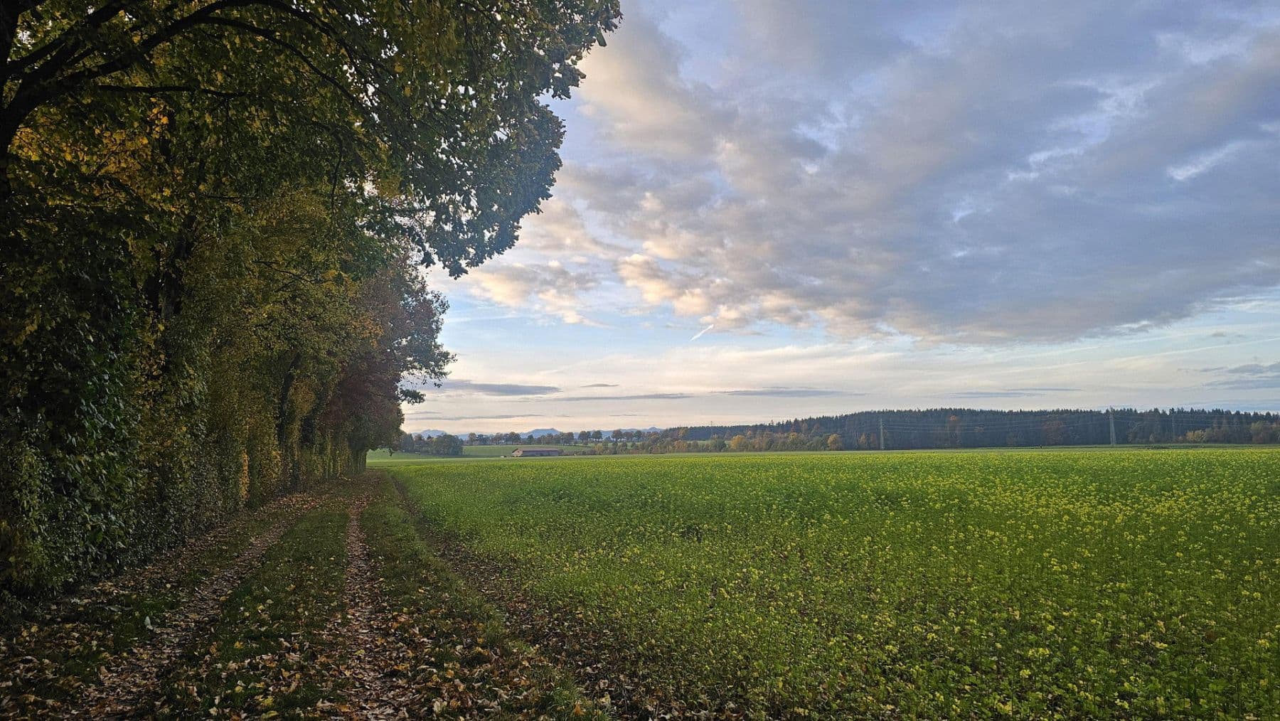 Pronájem bytu 3+kk 97 m², Otterfing, Bavorsko Pronájem bytu 3+kk 97 m², Otterfing, Bavorsko
