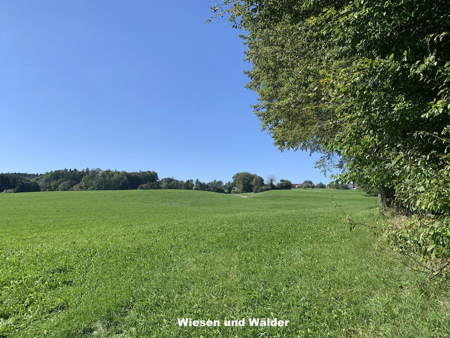 Prodej domu 400 m², pozemek 255.000 m², Marienplatz 1, Bayern - Ebersberg, Bavorsko Prodej domu 400 m², pozemek 255.000 m², Marienplatz 1, Bayern - Ebersberg, Bavorsko