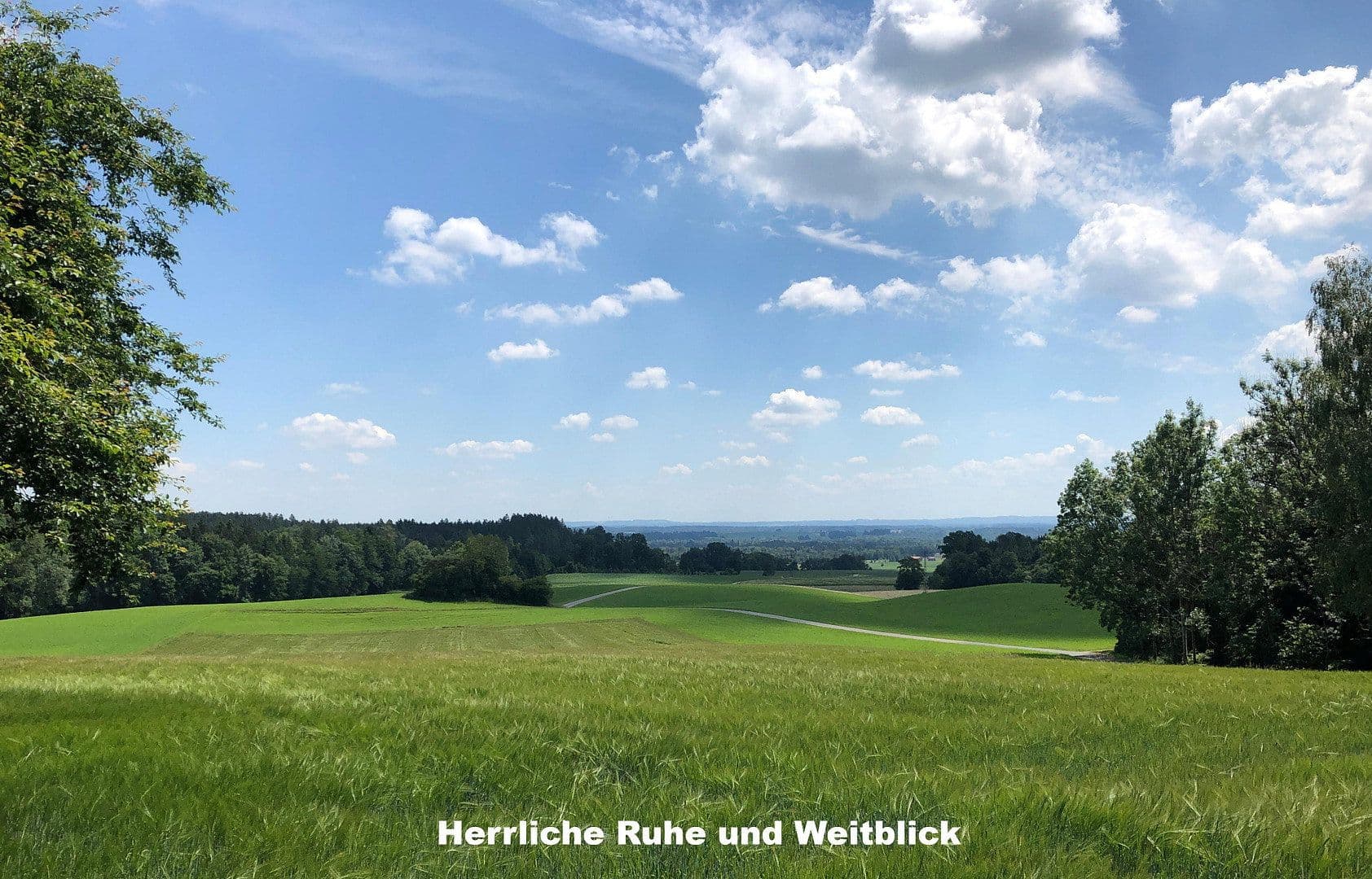 Prodej domu 400 m², pozemek 255.000 m², Marienplatz 1, Bayern - Ebersberg, Bavorsko Prodej domu 400 m², pozemek 255.000 m², Marienplatz 1, Bayern - Ebersberg, Bavorsko