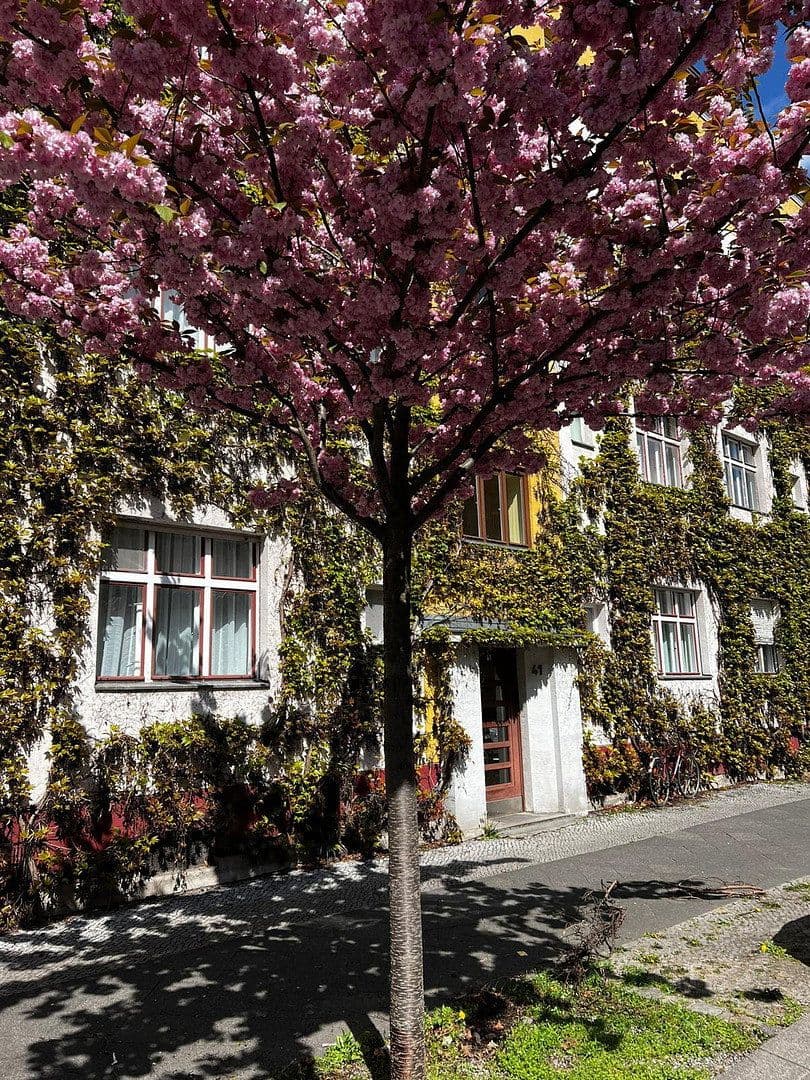 Pronájem bytu 2+1 58 m², Berlin, Berlín Pronájem bytu 2+1 58 m², Berlin, Berlín