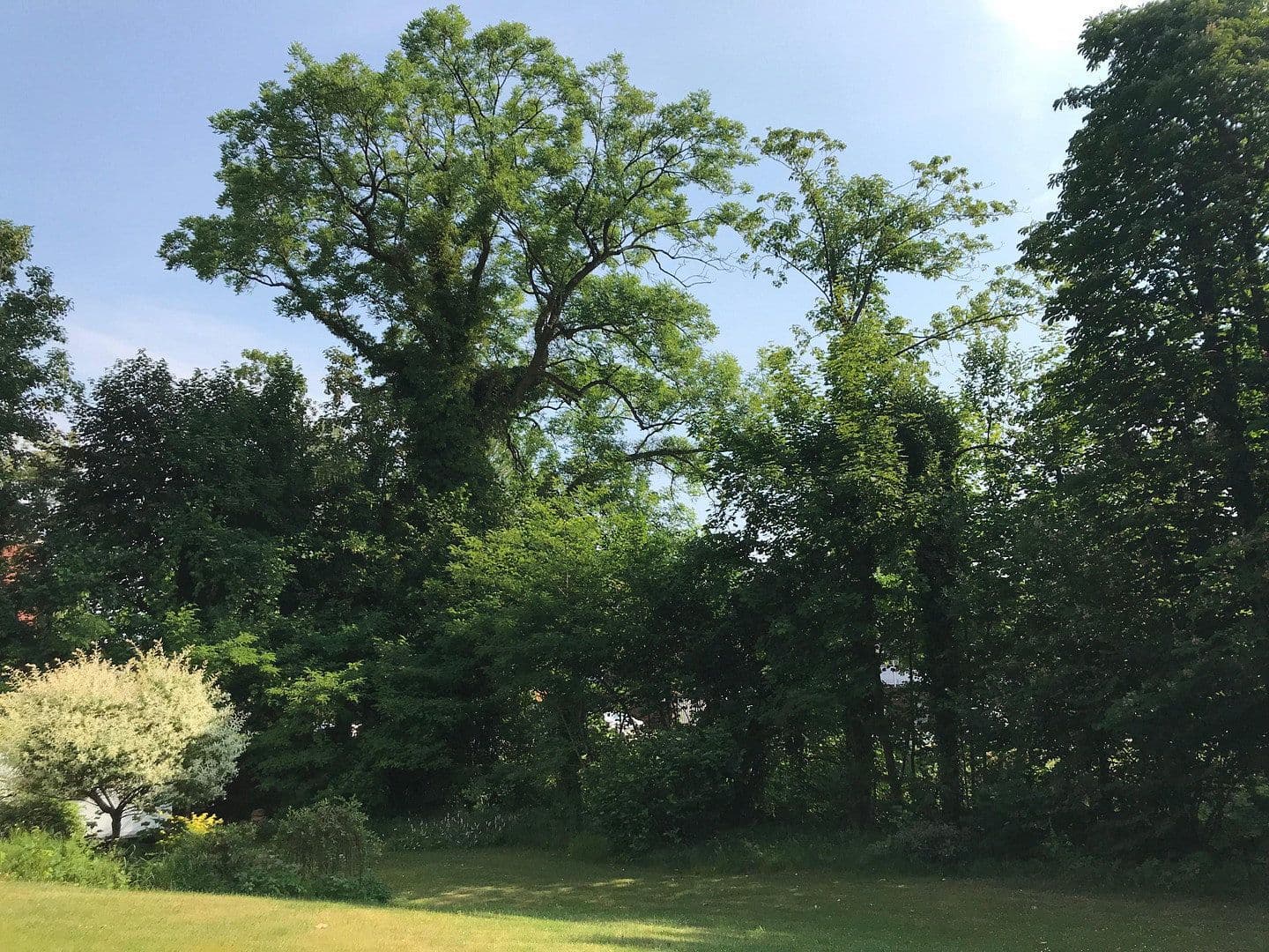 Prodej domu 220 m², pozemek 1.416 m², Hinter der Kirche 12, Neumünster, Šlesvicko-Holštýnsko Prodej domu 220 m², pozemek 1.416 m², Hinter der Kirche 12, Neumünster, Šlesvicko-Holštýnsko