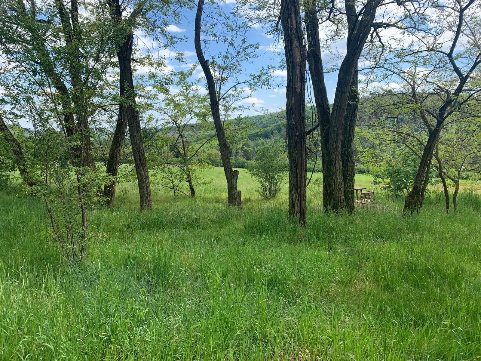 Prodej pozemku 2.112 m², Nebovidy, Jihomoravský kraj Prodej pozemku 2.112 m², Nebovidy, Jihomoravský kraj