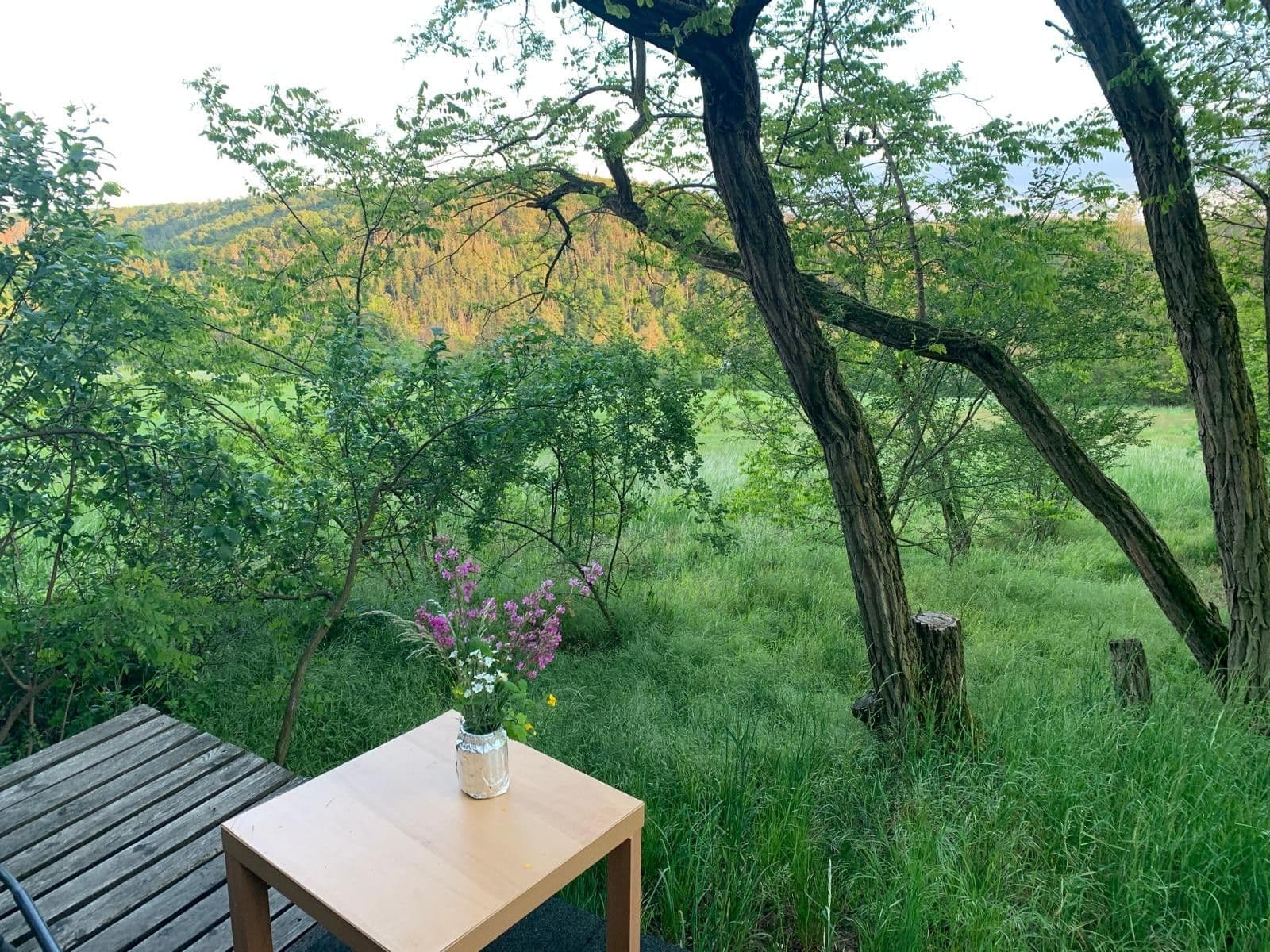 Prodej pozemku 2.112 m², Nebovidy, Jihomoravský kraj Prodej pozemku 2.112 m², Nebovidy, Jihomoravský kraj