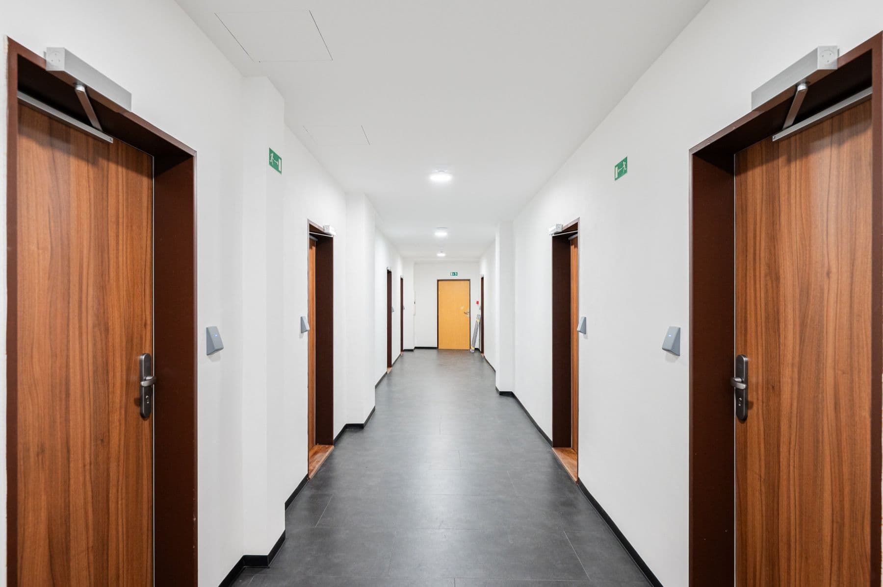 Pronájem bytu 19 m², Jeseniova, Praha, Praha Pronájem bytu 19 m², Jeseniova, Praha, Praha