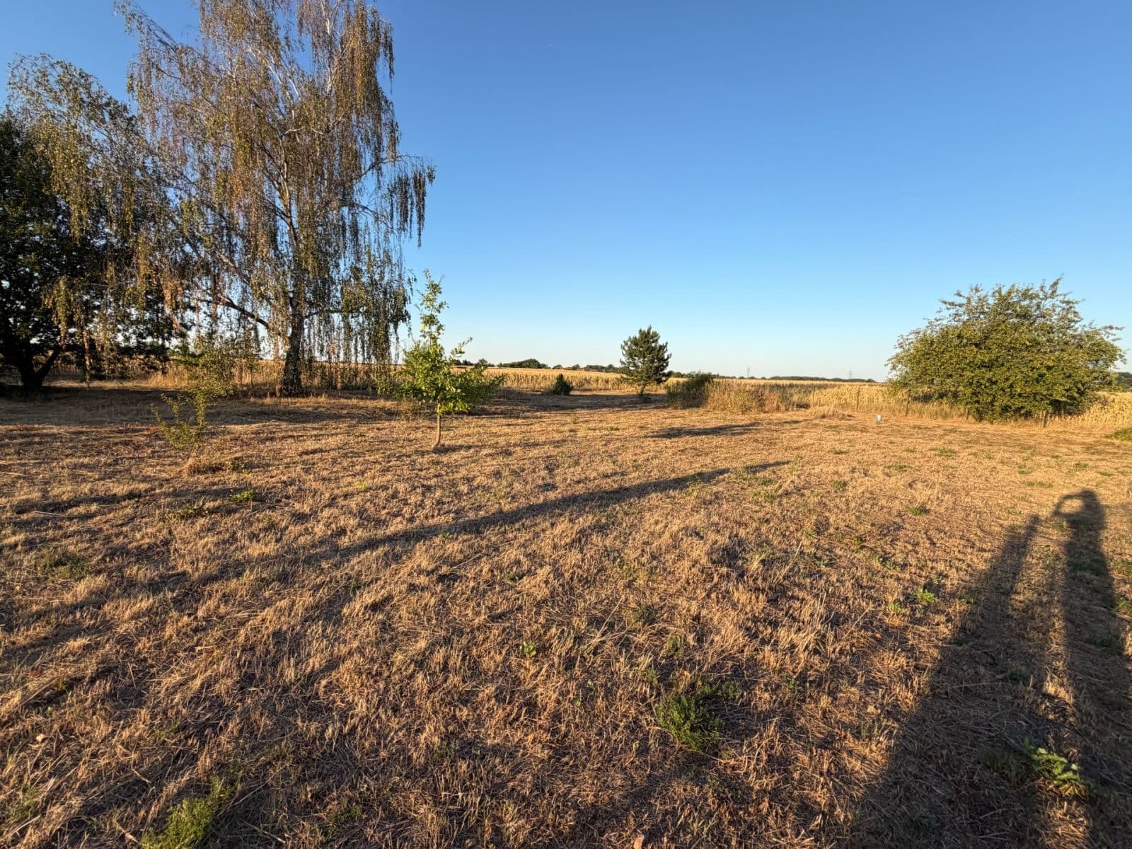 Prodej pozemku 1.723 m², Pardubice, Pardubický kraj Prodej pozemku 1.723 m², Pardubice, Pardubický kraj