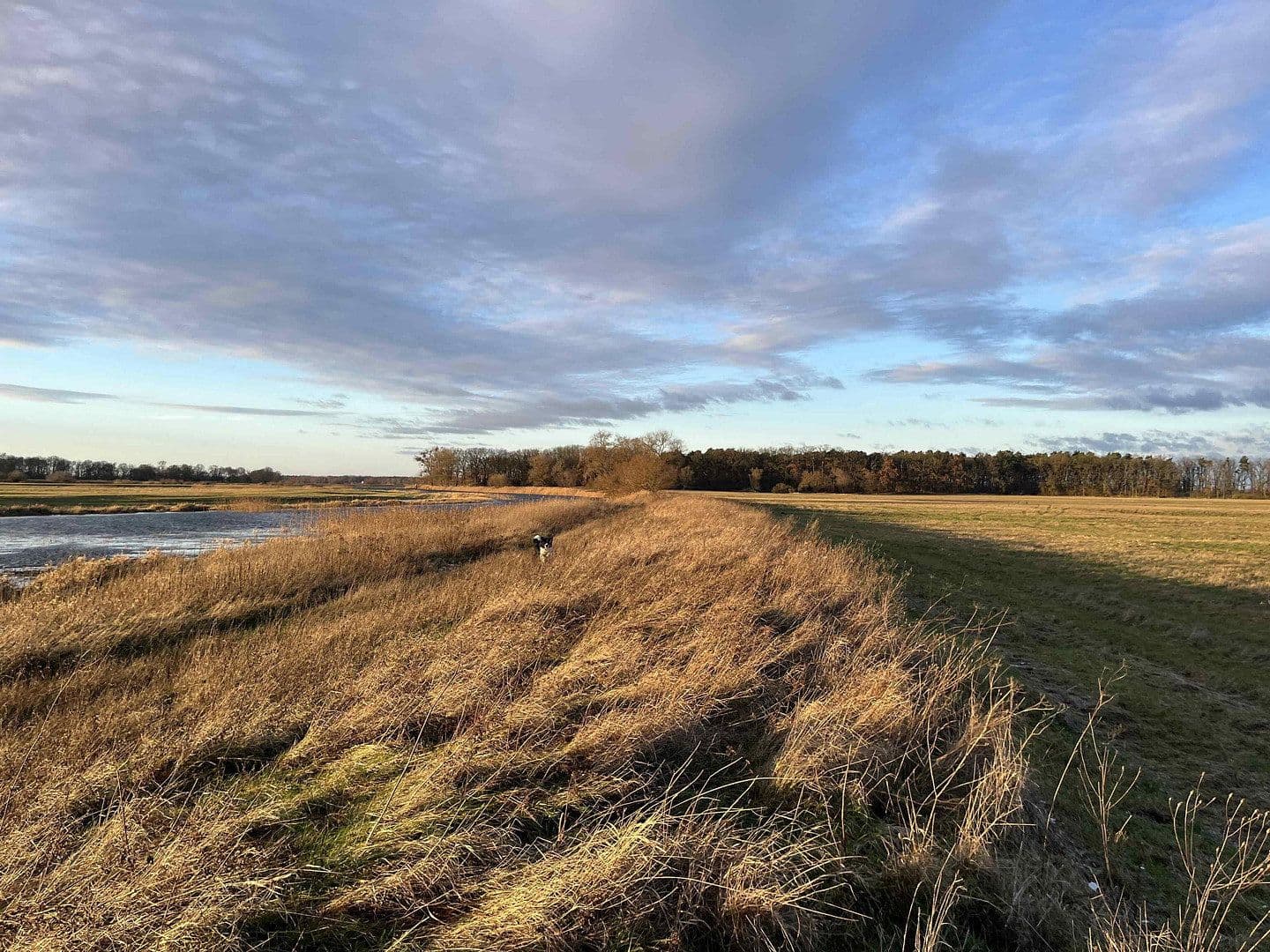 Prodej domu 140 m², pozemek 889 m², Rühstädt, Braniborsko Prodej domu 140 m², pozemek 889 m², Rühstädt, Braniborsko