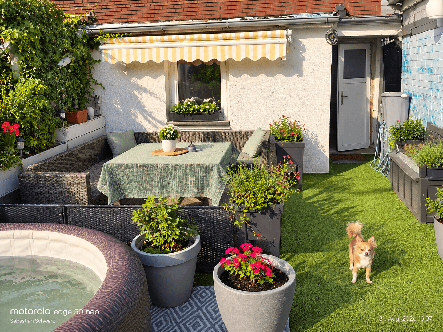 Prodej domu 239 m², pozemek 400 m², Stralsund, Mecklenburg-Vorpommern Prodej domu 239 m², pozemek 400 m², Stralsund, Mecklenburg-Vorpommern