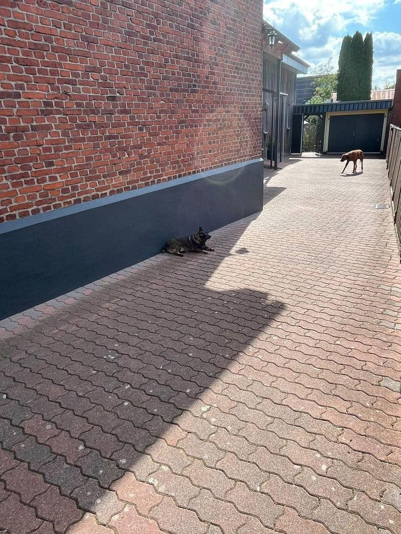 Prodej domu 197 m², pozemek 655 m², Hohenwestedt, Šlesvicko-Holštýnsko Prodej domu 197 m², pozemek 655 m², Hohenwestedt, Šlesvicko-Holštýnsko