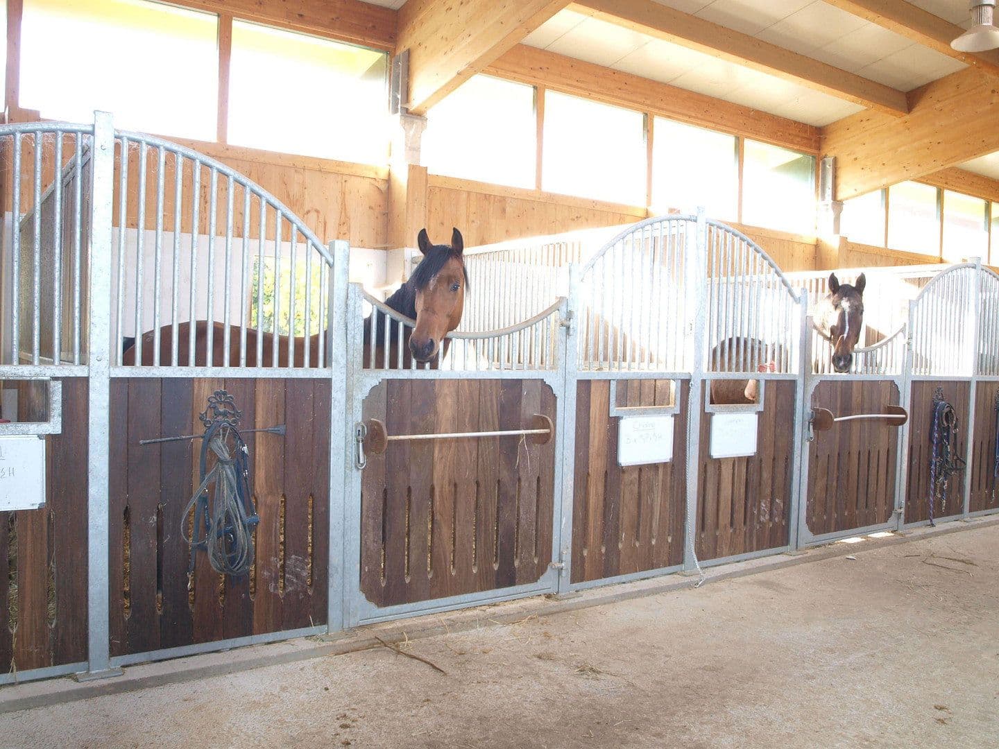 Prodej pozemku 46.000 m², Abtsgmünd, Bádensko-Württembersko Prodej pozemku 46.000 m², Abtsgmünd, Bádensko-Württembersko