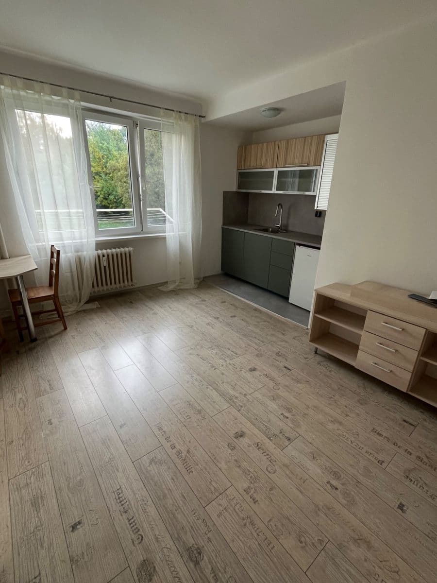 Pronájem bytu 1+kk 24 m², Hlavní třída, Ostrava, Moravskoslezský kraj Pronájem bytu 1+kk 24 m², Hlavní třída, Ostrava, Moravskoslezský kraj