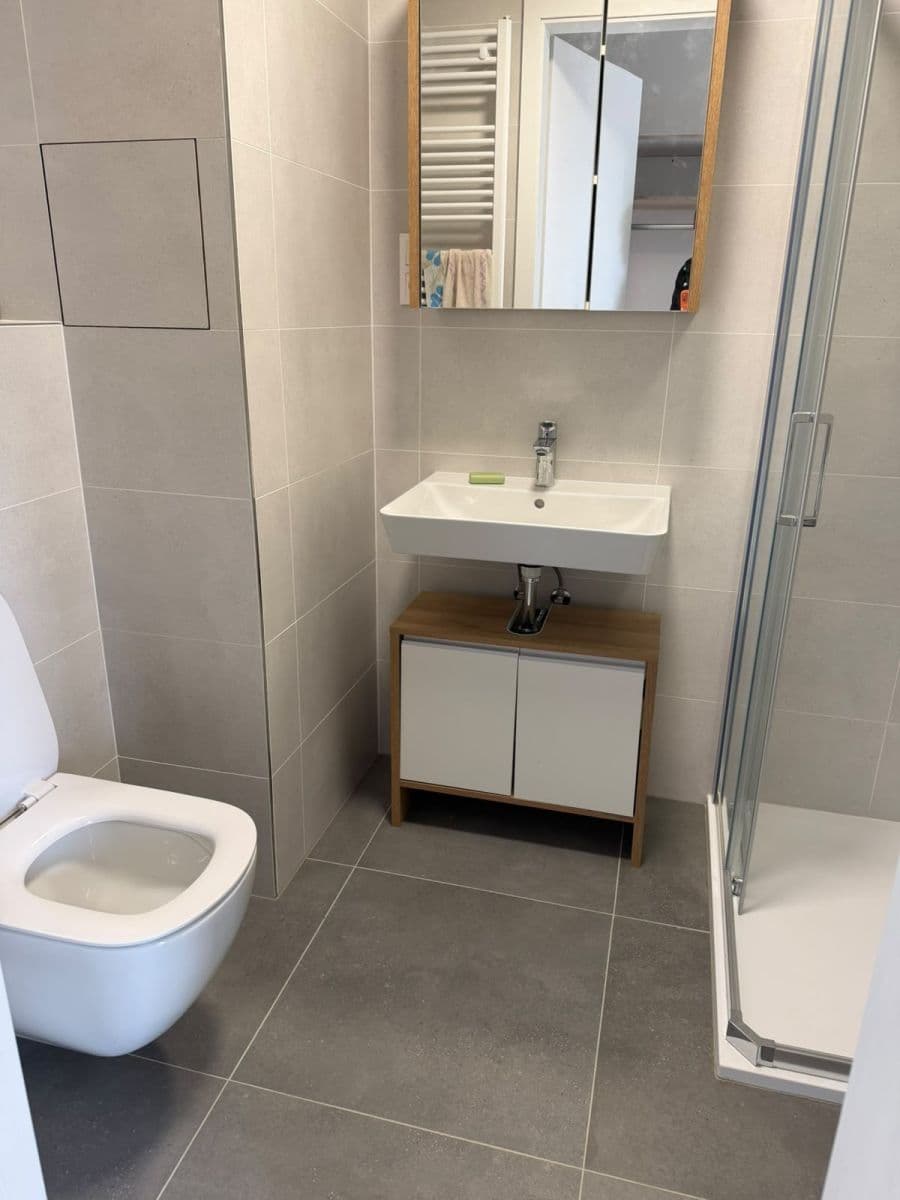 Pronájem bytu 1+kk 30 m², Jáchymovská, Praha, Praha Pronájem bytu 1+kk 30 m², Jáchymovská, Praha, Praha