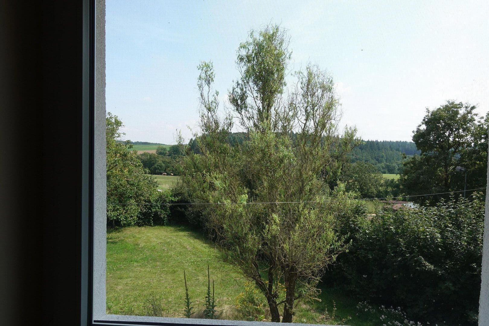 Prodej domu 180 m², pozemek 39.000 m², Buchen (Odenwald), Bádensko-Württembersko Prodej domu 180 m², pozemek 39.000 m², Buchen (Odenwald), Bádensko-Württembersko