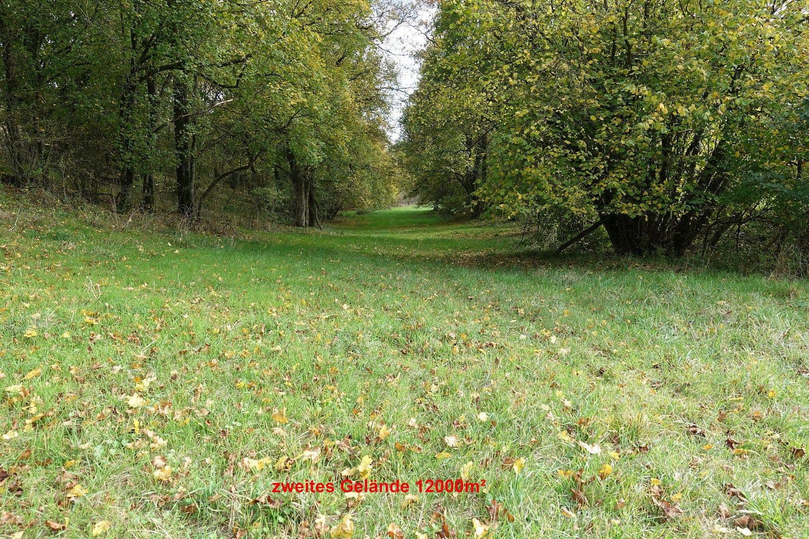 Prodej domu 180 m², pozemek 39.000 m², Buchen (Odenwald), Bádensko-Württembersko Prodej domu 180 m², pozemek 39.000 m², Buchen (Odenwald), Bádensko-Württembersko