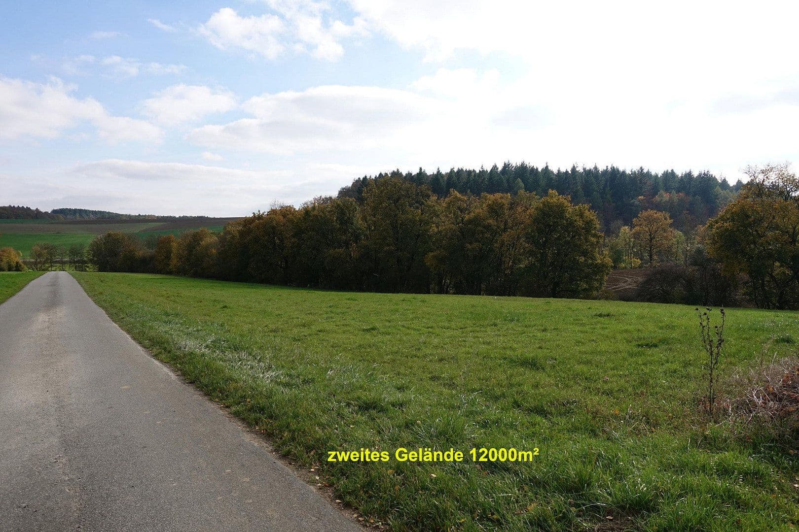 Prodej domu 180 m², pozemek 39.000 m², Buchen (Odenwald), Bádensko-Württembersko Prodej domu 180 m², pozemek 39.000 m², Buchen (Odenwald), Bádensko-Württembersko