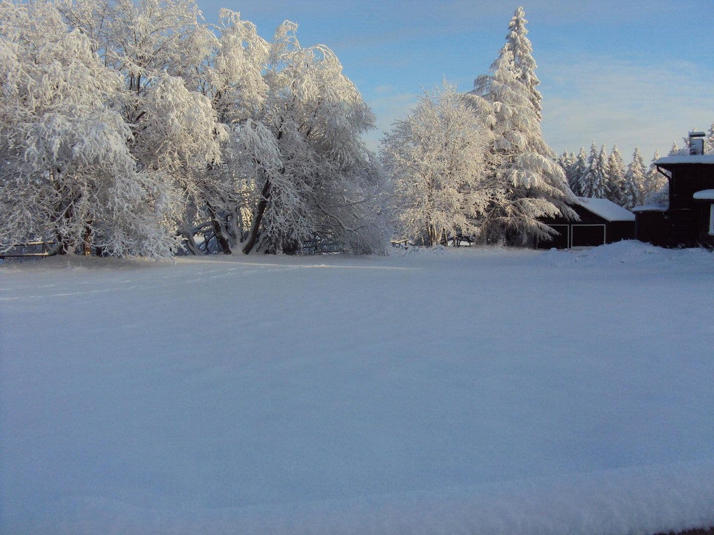 Prodej nebytového prostoru 1.650 m², Braunlage, Dolní Sasko Prodej nebytového prostoru 1.650 m², Braunlage, Dolní Sasko