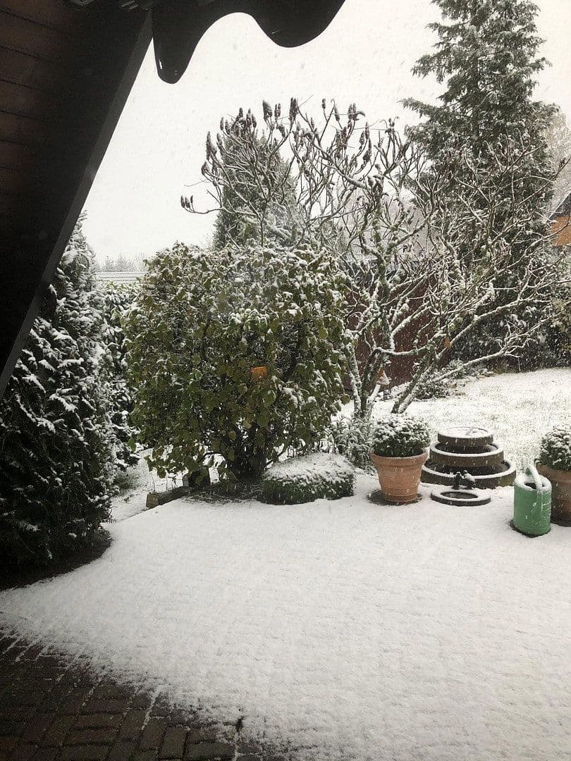 Prodej domu 65 m², pozemek 385 m², Feriendorf 202, Blankenheim, Severní Porýní-Vestfálsko Prodej domu 65 m², pozemek 385 m², Feriendorf 202, Blankenheim, Severní Porýní-Vestfálsko