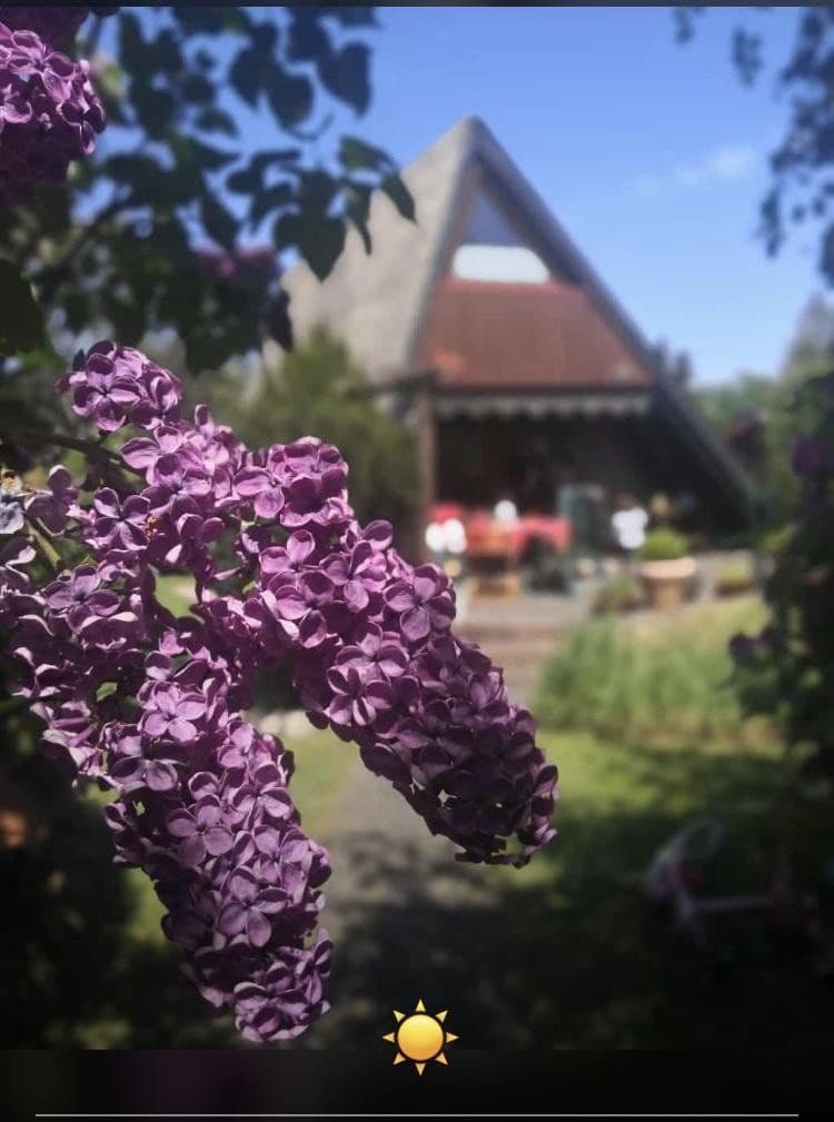 Prodej domu 65 m², pozemek 385 m², Feriendorf 202, Blankenheim, Severní Porýní-Vestfálsko Prodej domu 65 m², pozemek 385 m², Feriendorf 202, Blankenheim, Severní Porýní-Vestfálsko