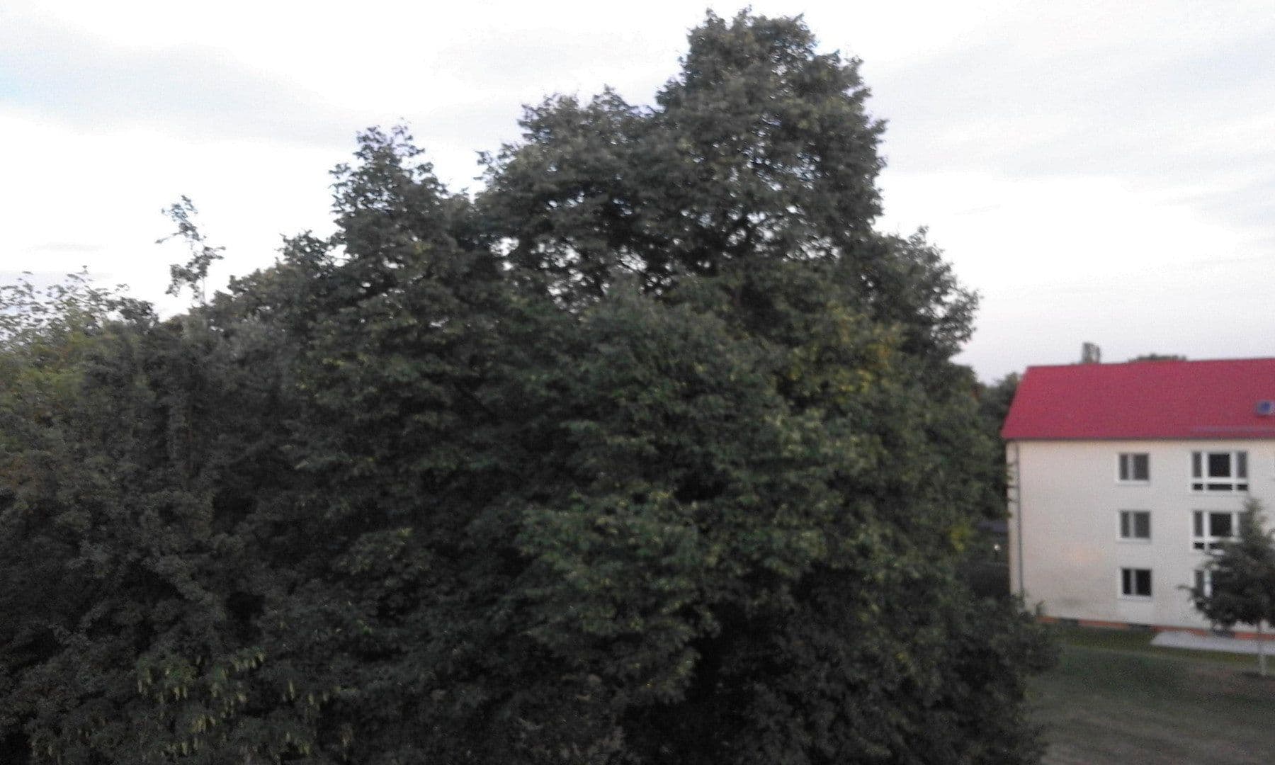 Pronájem bytu 3+1 101 m², Wiesbaden-Sonnenberg, Hessen Pronájem bytu 3+1 101 m², Wiesbaden-Sonnenberg, Hessen
