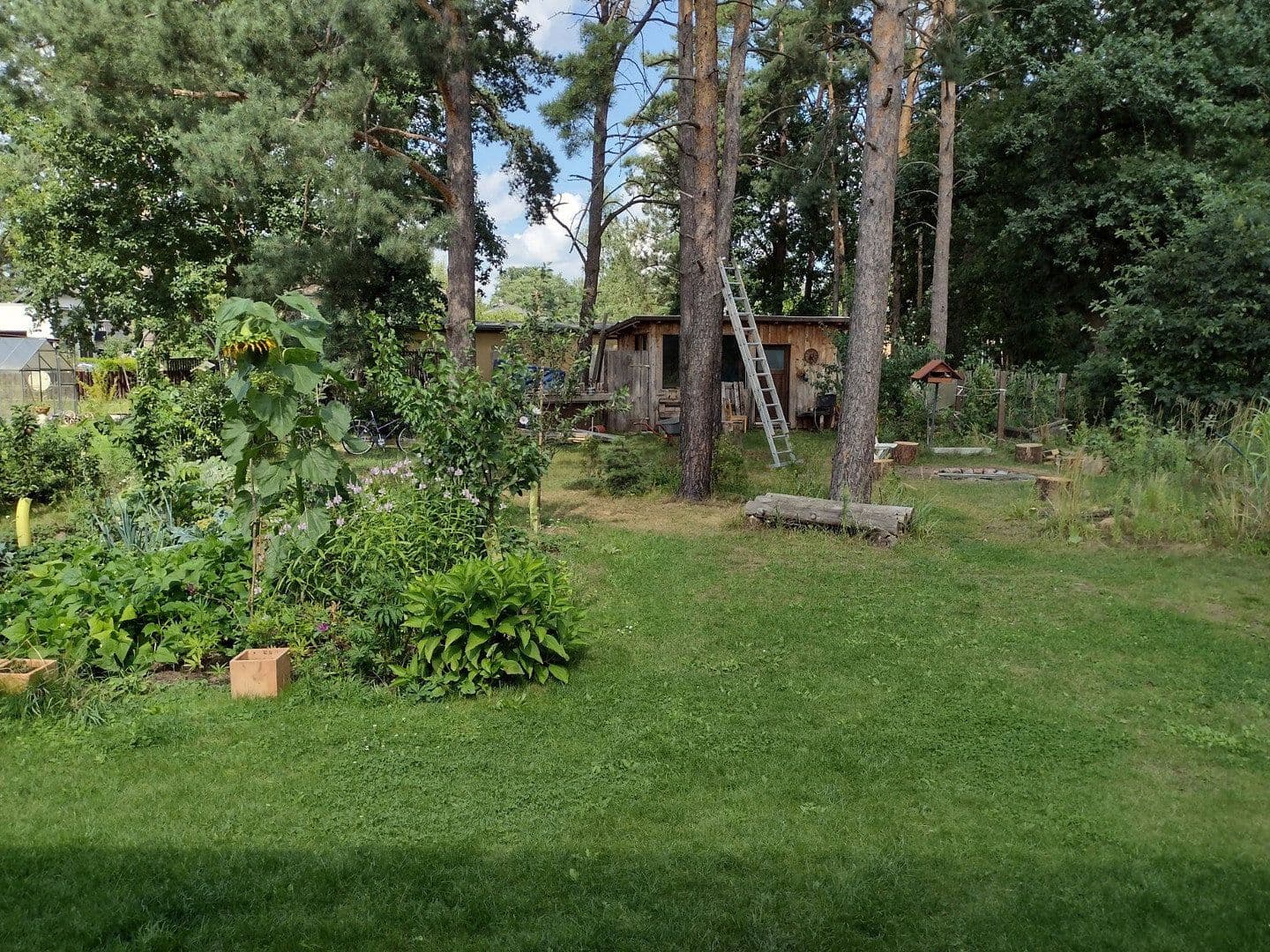 Pronájem domu 106 m², pozemek 1.000 m², Grünheide (Mark), Braniborsko Pronájem domu 106 m², pozemek 1.000 m², Grünheide (Mark), Braniborsko