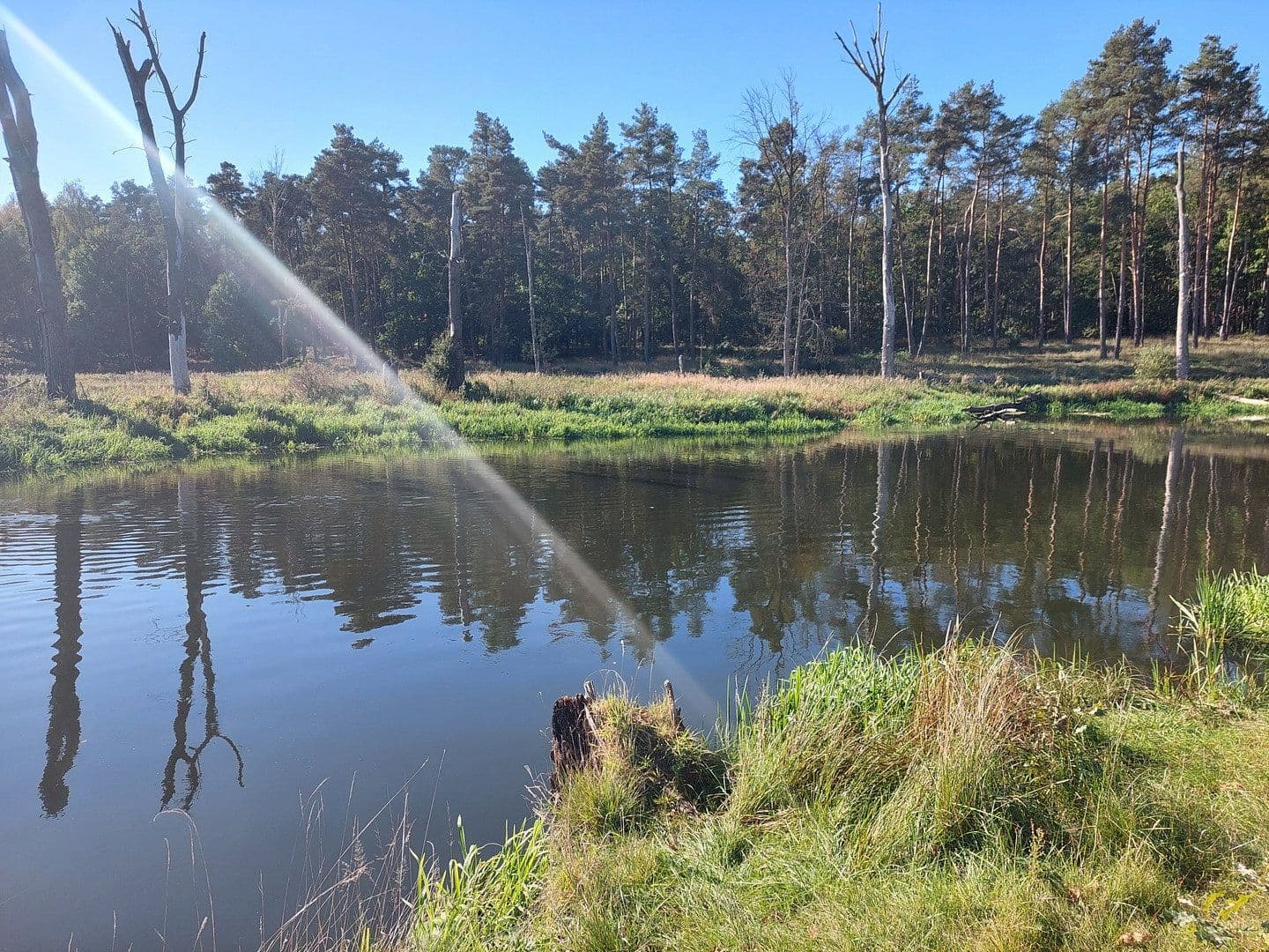 Pronájem domu 106 m², pozemek 1.000 m², Grünheide (Mark), Braniborsko Pronájem domu 106 m², pozemek 1.000 m², Grünheide (Mark), Braniborsko