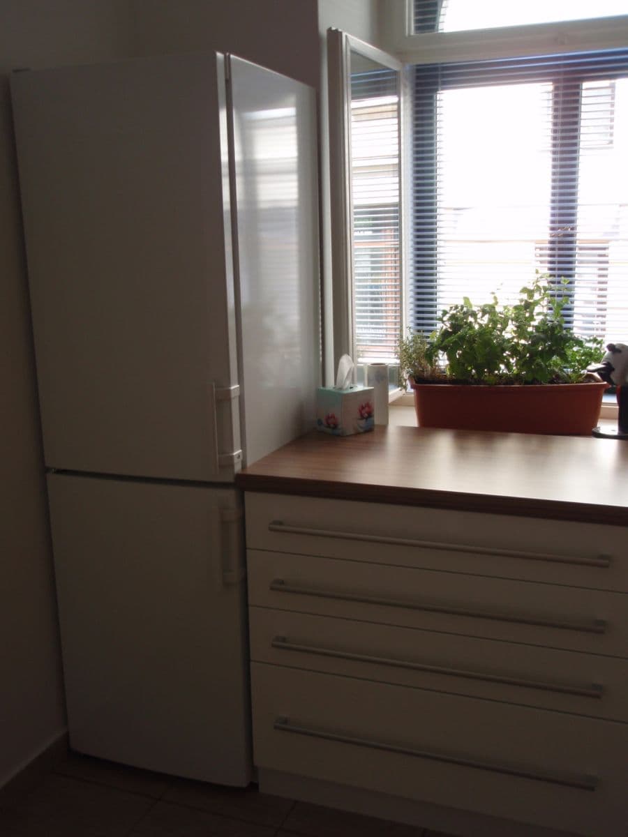 Pronájem bytu 2+1 46 m², Roháčova, Praha, Praha Pronájem bytu 2+1 46 m², Roháčova, Praha, Praha