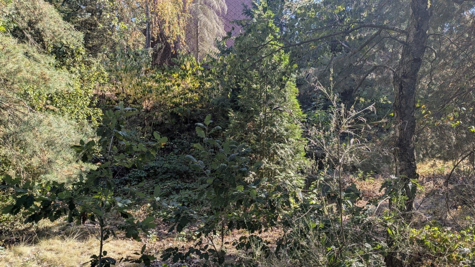 Prodej pozemku 749 m², Ptice, Středočeský kraj Prodej pozemku 749 m², Ptice, Středočeský kraj