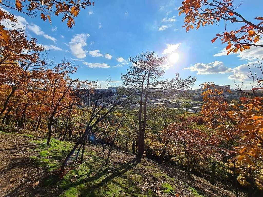 Prodej bytu 2+kk 57 m², V jehličí, Praha, Praha Prodej bytu 2+kk 57 m², V jehličí, Praha, Praha