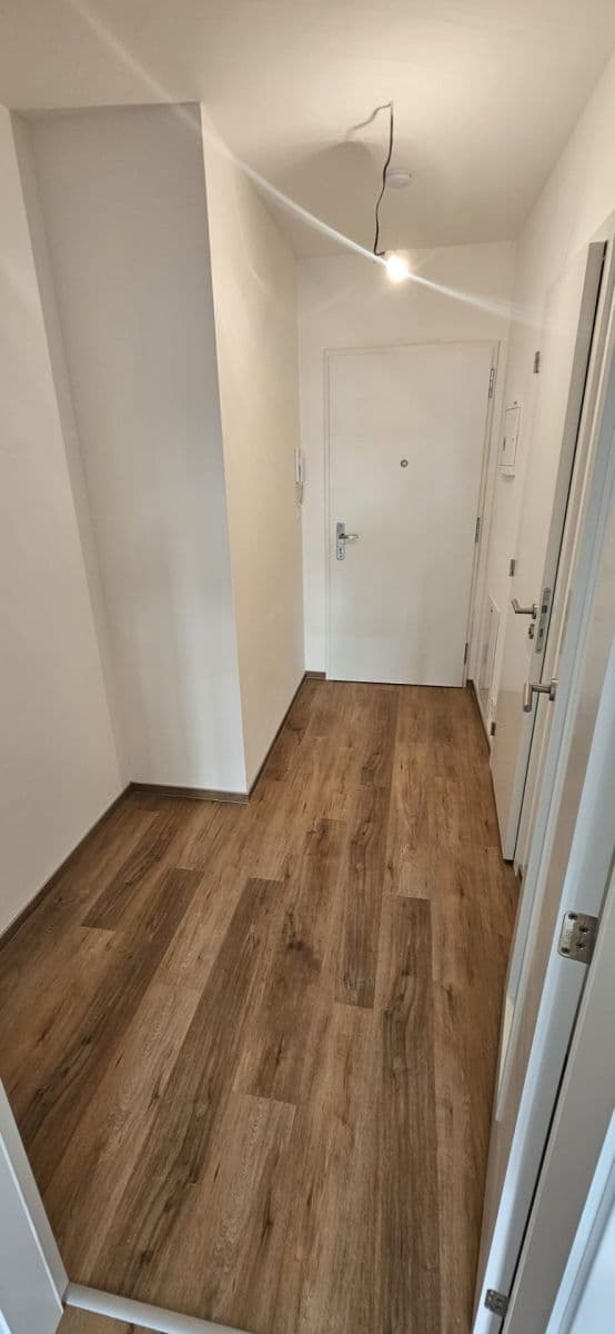 Pronájem bytu 1+kk 30 m², Hvězdová, Brno, Jihomoravský kraj Pronájem bytu 1+kk 30 m², Hvězdová, Brno, Jihomoravský kraj