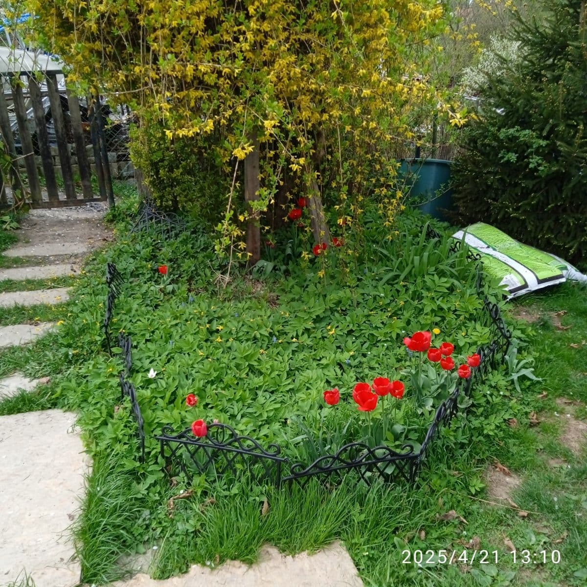 Prodej chaty, chalupy 52 m², pozemek 359 m², Klecany, Středočeský kraj Prodej chaty, chalupy 52 m², pozemek 359 m², Klecany, Středočeský kraj