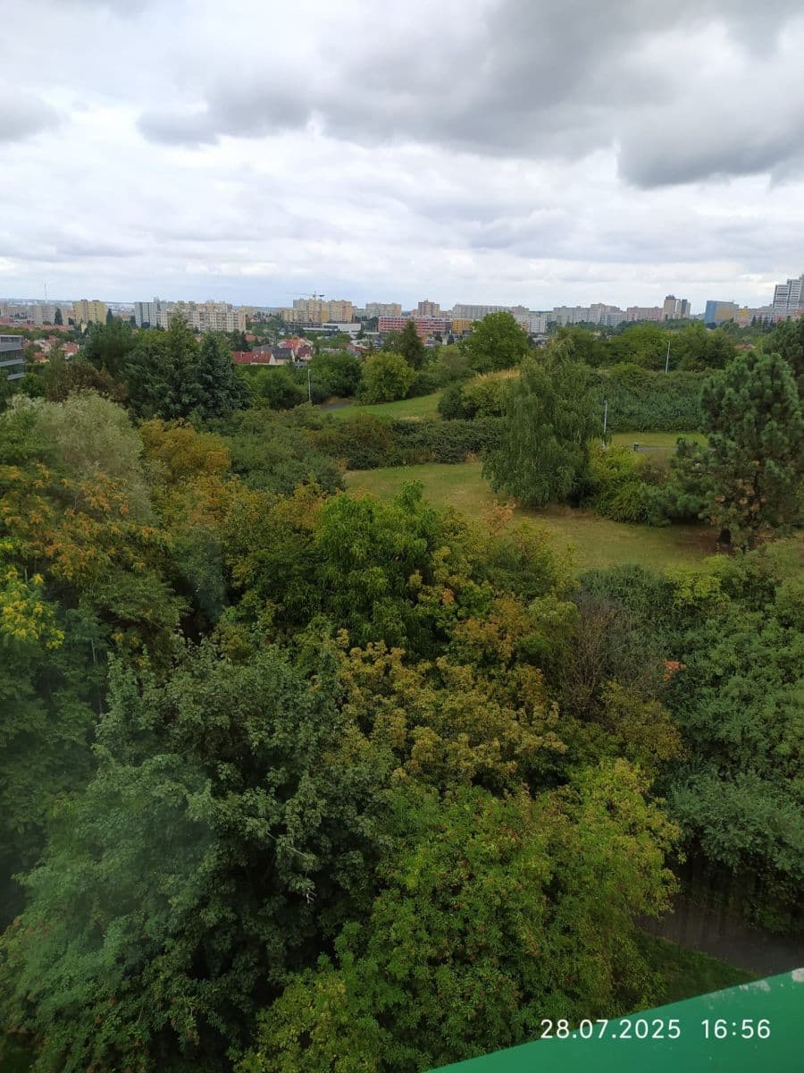Pronájem bytu 4+kk 90 m², Nechvílova, Praha, Praha Pronájem bytu 4+kk 90 m², Nechvílova, Praha, Praha
