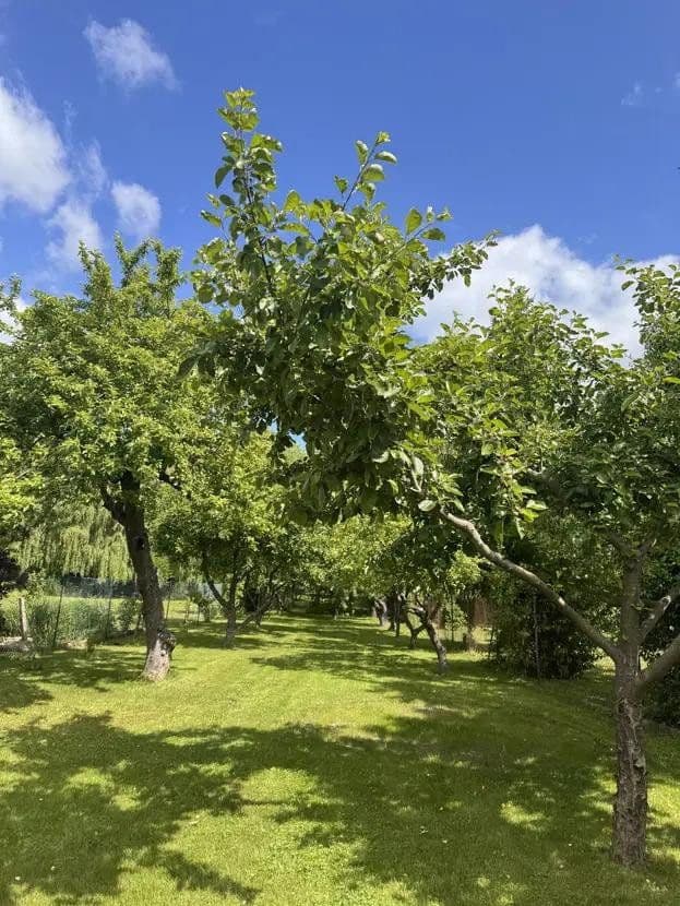 Prodej domu 182 m², pozemek 1.688 m², Alte Handelsstraße 13, Chorin, Braniborsko Prodej domu 182 m², pozemek 1.688 m², Alte Handelsstraße 13, Chorin, Braniborsko