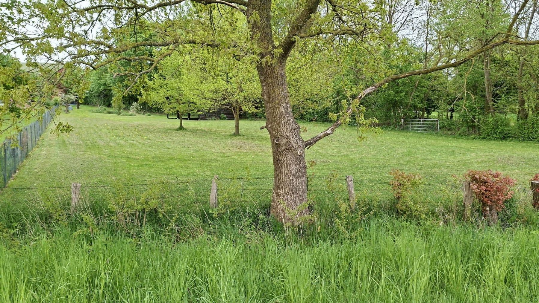 Prodej domu 190 m², pozemek 3.334 m², Dorfstraße 10, Rehhorst, Šlesvicko-Holštýnsko Prodej domu 190 m², pozemek 3.334 m², Dorfstraße 10, Rehhorst, Šlesvicko-Holštýnsko