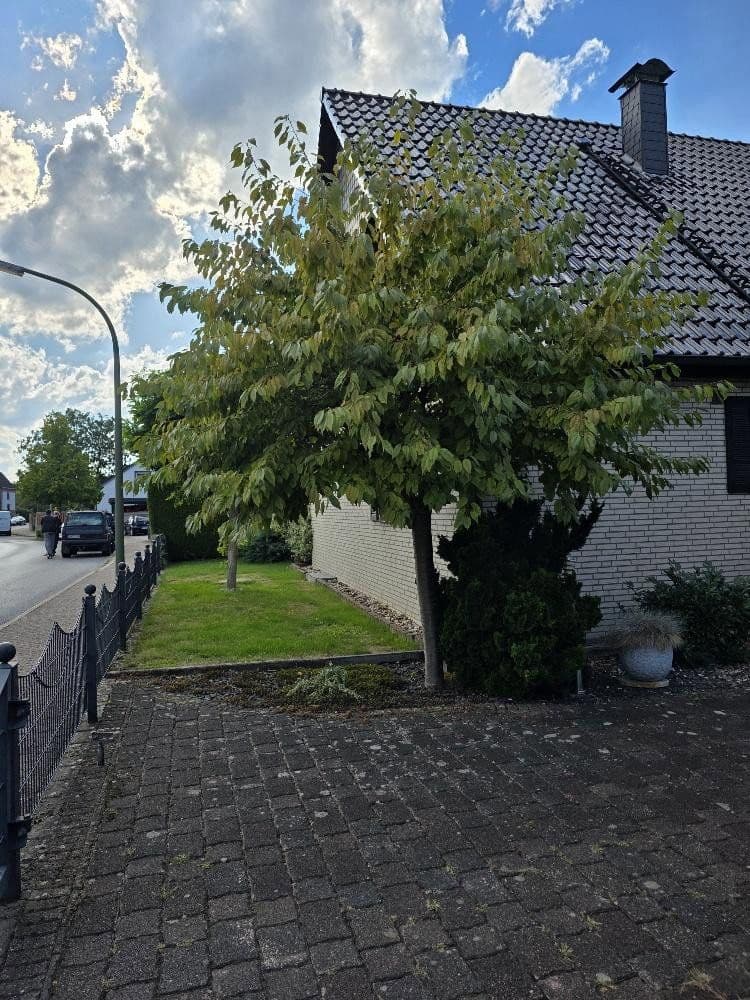 Pronájem domu 130 m², pozemek 510 m², Körnerstraße 15, Bönen, Severní Porýní-Vestfálsko Pronájem domu 130 m², pozemek 510 m², Körnerstraße 15, Bönen, Severní Porýní-Vestfálsko