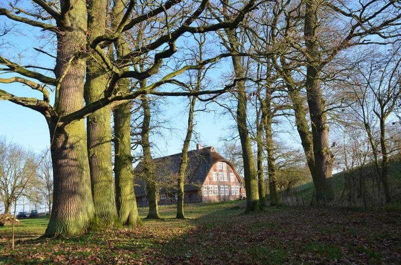 Prodej domu 189 m², pozemek 8.000 m², Lenzen (Elbe), Braniborsko Prodej domu 189 m², pozemek 8.000 m², Lenzen (Elbe), Braniborsko