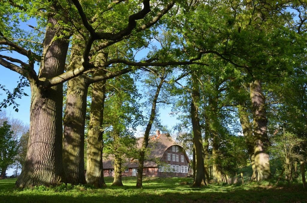 Prodej domu 189 m², pozemek 8.000 m², Lenzen (Elbe), Braniborsko Prodej domu 189 m², pozemek 8.000 m², Lenzen (Elbe), Braniborsko