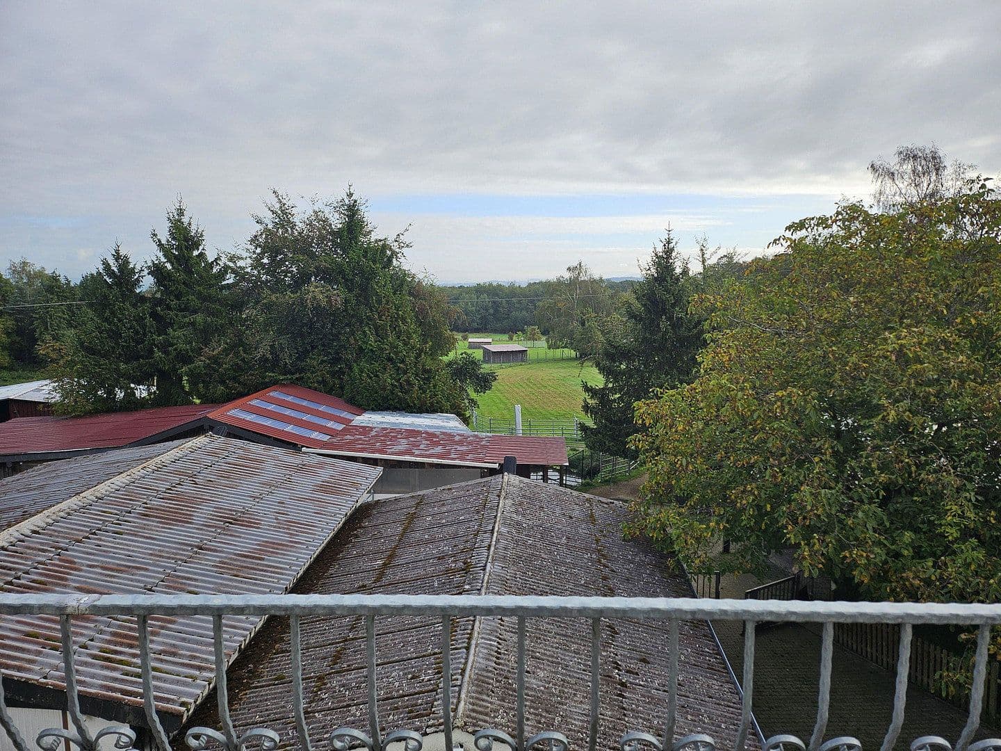 Prodej domu 280 m², pozemek 25.000 m², Busenhausen, Porýní-Falc Prodej domu 280 m², pozemek 25.000 m², Busenhausen, Porýní-Falc