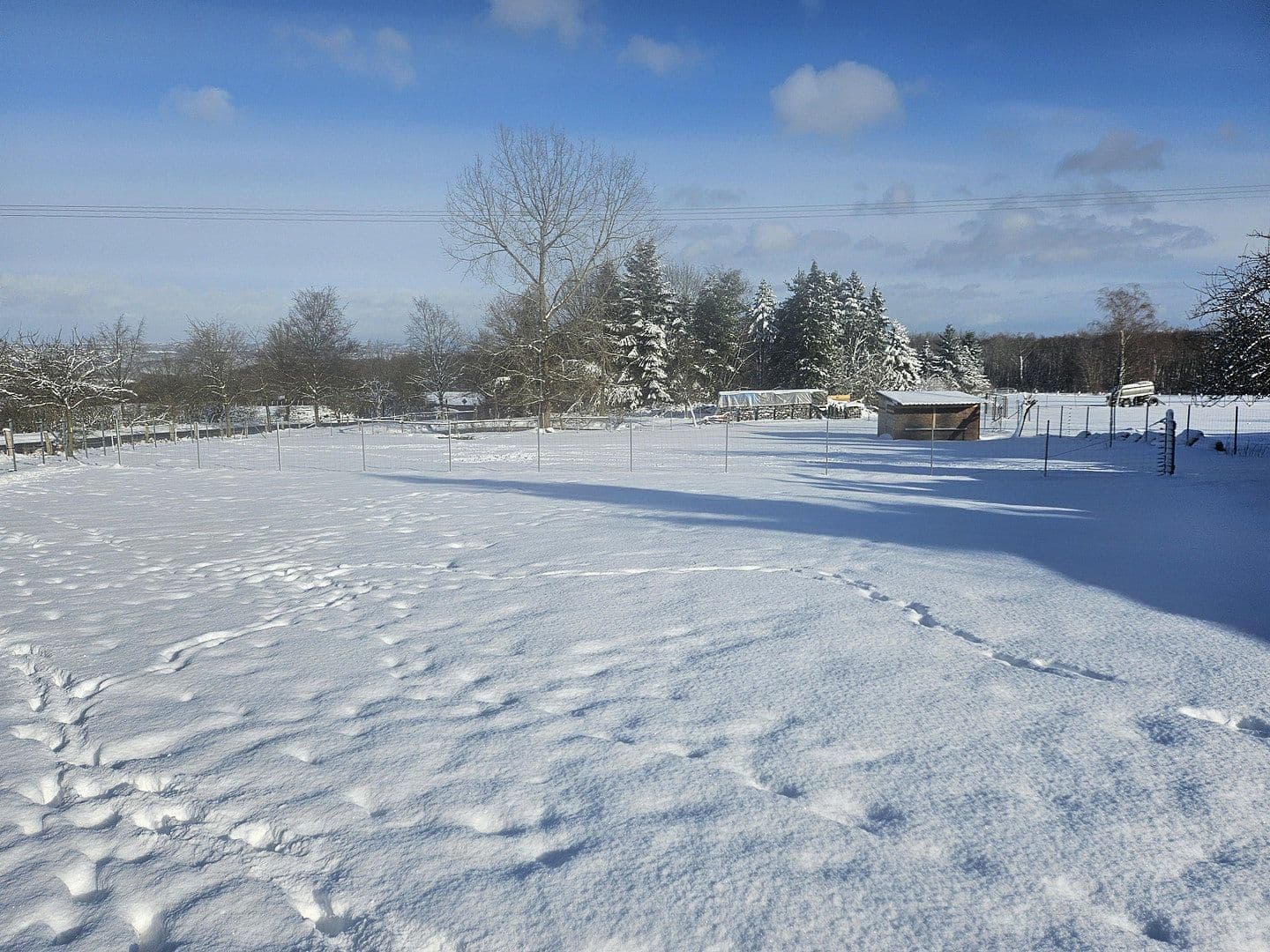 Prodej domu 280 m², pozemek 25.000 m², Busenhausen, Porýní-Falc Prodej domu 280 m², pozemek 25.000 m², Busenhausen, Porýní-Falc