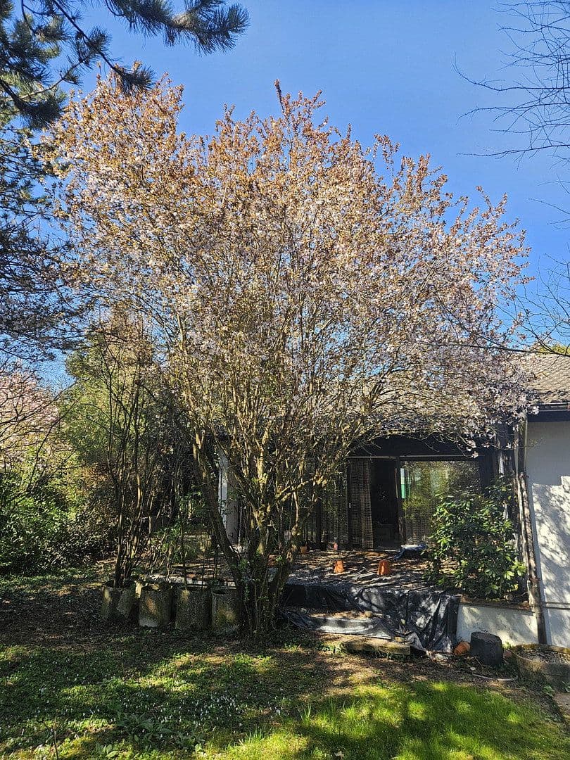 Prodej domu 131 m², pozemek 878 m², Kelkheim (Taunus), Hessen Prodej domu 131 m², pozemek 878 m², Kelkheim (Taunus), Hessen