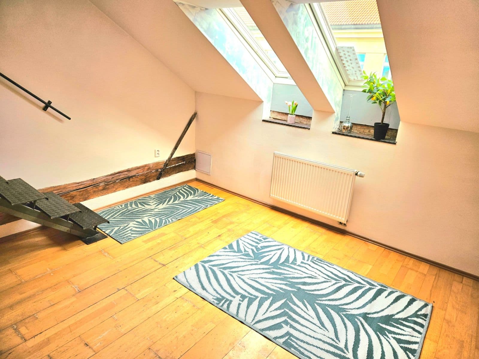 Pronájem bytu 1+1 45 m², Vlkova, Praha, Praha Pronájem bytu 1+1 45 m², Vlkova, Praha, Praha
