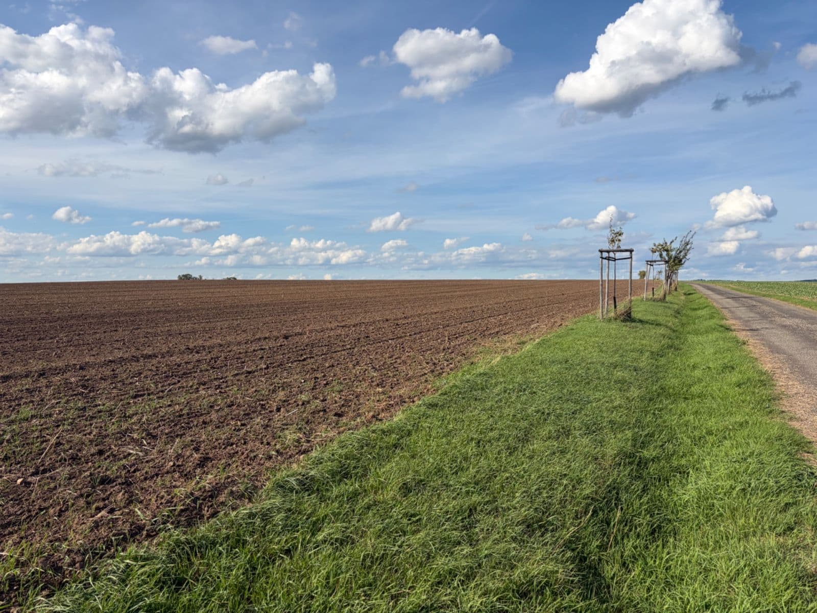 Prodej pozemku 1.050 m², Vysoká, Středočeský kraj Prodej pozemku 1.050 m², Vysoká, Středočeský kraj