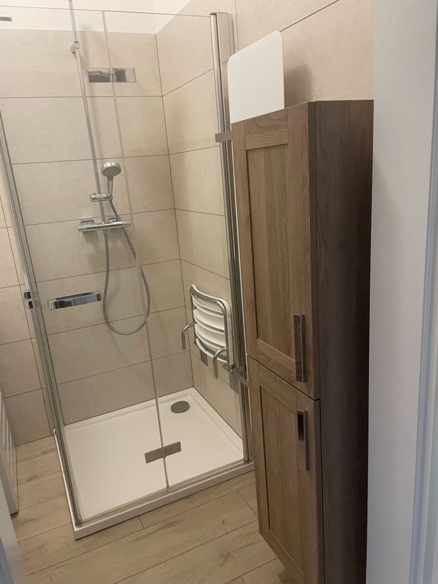 Pronájem bytu 2+kk 50 m², U Zeměpisného ústavu, Praha, Praha Pronájem bytu 2+kk 50 m², U Zeměpisného ústavu, Praha, Praha