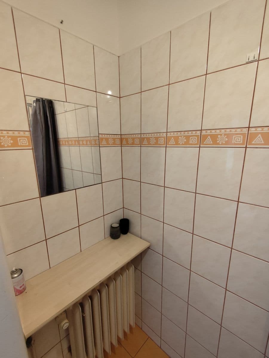 Pronájem bytu Garsoniéra 29 m², Rychtaříkova, Plzeň, Plzeňský kraj Pronájem bytu Garsoniéra 29 m², Rychtaříkova, Plzeň, Plzeňský kraj